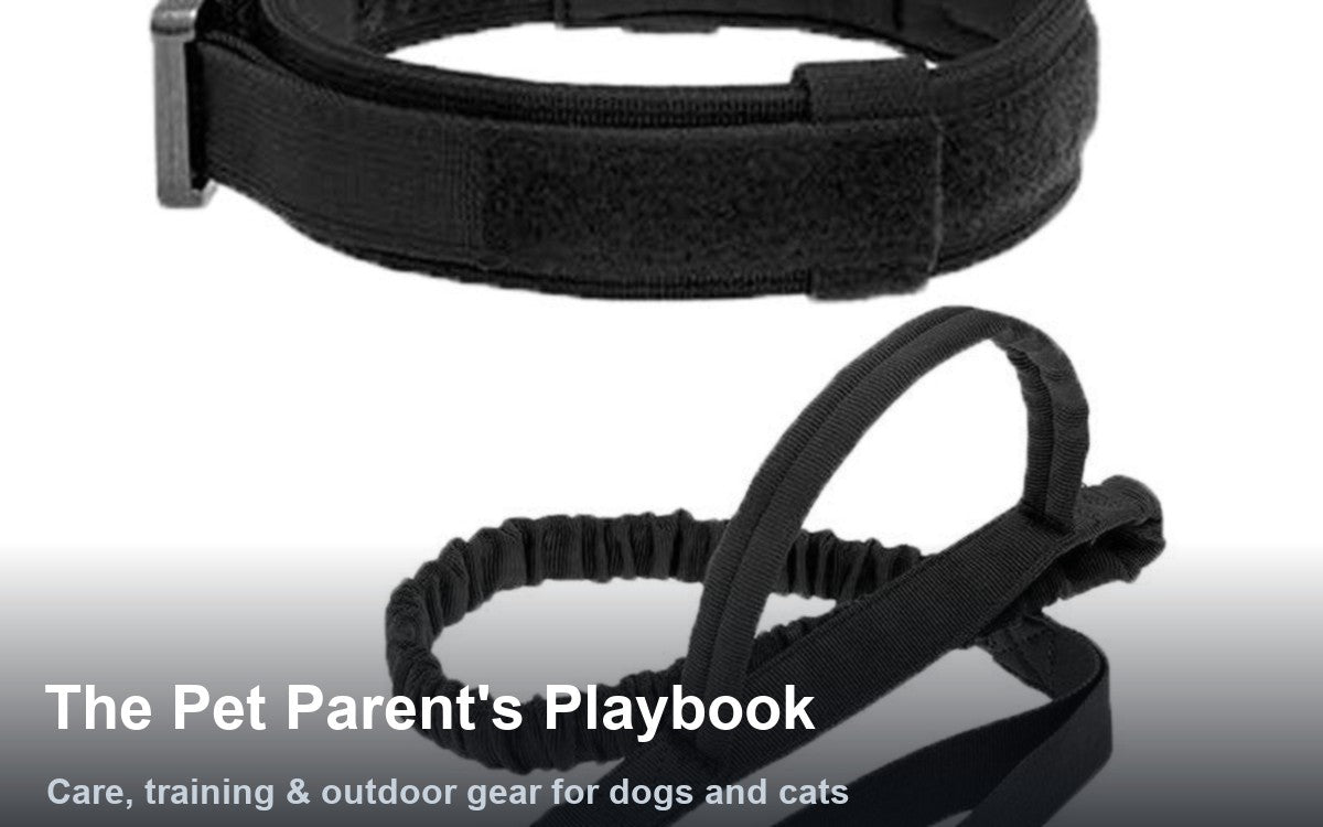 Hero for The Pet Parent's Playbook: Care, Training & Outdoor Gear for Dogs and Cats
