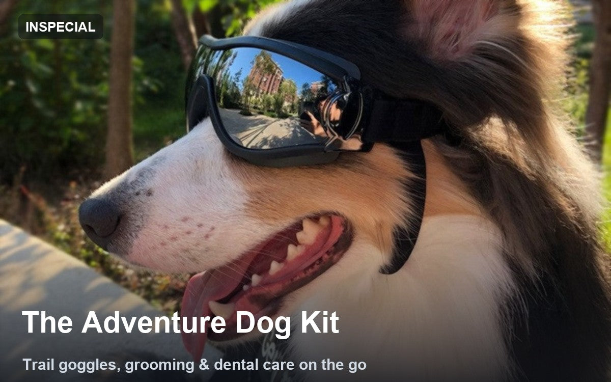 Hero for Adventure Dog Kit: Trail Goggles, Grooming & Dental Care