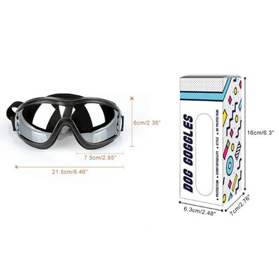 dog glasses